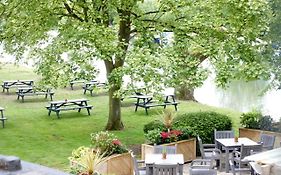 Rose Revived By Chef & Brewer Collection